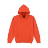 HEAVY BLEND™ YOUTH HOODED SWEATSHIRT