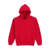 SOFTSTYLE® MIDWEIGHT FLEECE YOUTH HOODIE