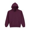 SOFTSTYLE® MIDWEIGHT FLEECE YOUTH HOODIE