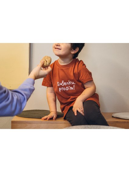 Dětské cihlové tričko Sušenku, prosím
