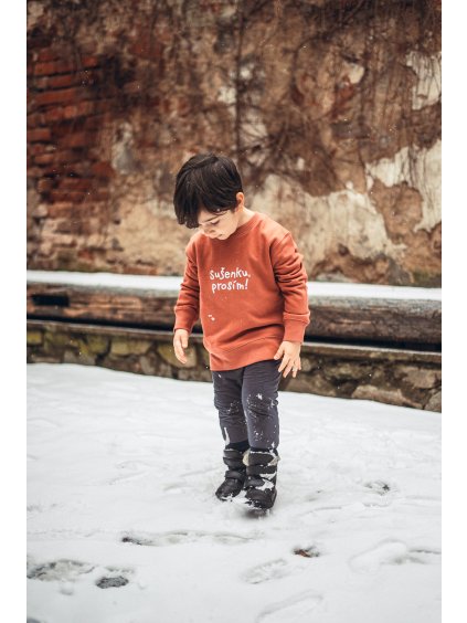 Dětská cihlová mikina Sušenku, prosím