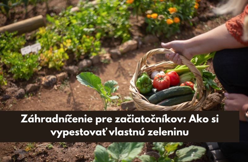 Záhradníčenie pre začiatočníkov: Ako si vypestovať vlastnú zeleninu