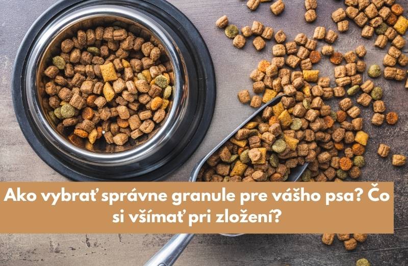Ako vybrať správne granule pre vášho psa? Čo si všímať pri zložení?