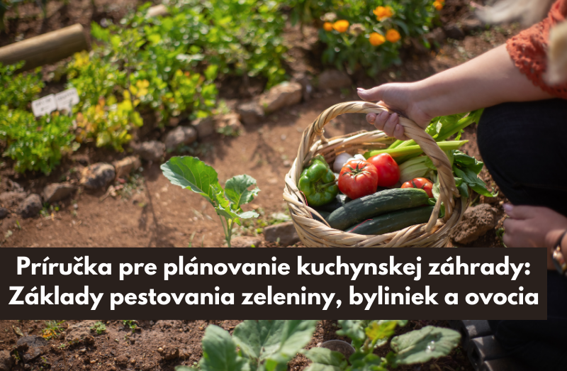 Príručka pre plánovanie kuchynskej záhrady: Základy pestovania zeleniny, byliniek a ovocia