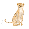 Gepard