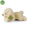 Rappa plyšový labrador 20 CM ECO-FRIENDLY