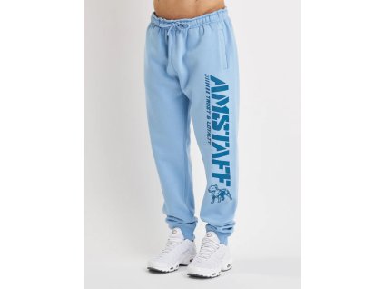 ams sp1073horbludrk 01jpg 13526030