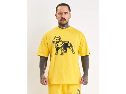 ams ts1072yelblk 01jpg 13527209