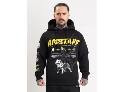 ams hd133 01jpg 13543624