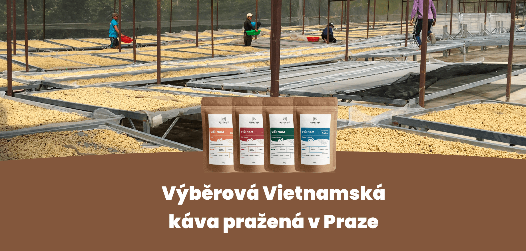 Výběr