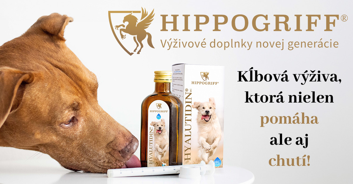 Klbova vyz ktora pomaha