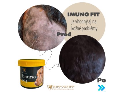 Imuno Fit 400g