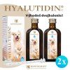 Hyalutidin DC Aktiv 2x125ml kĺbová výživa pre psy a mačky