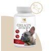 COLLAGEN ADVANCED + /prírodný hovädzí kolagén v kapsulách pre psy 150 ks /