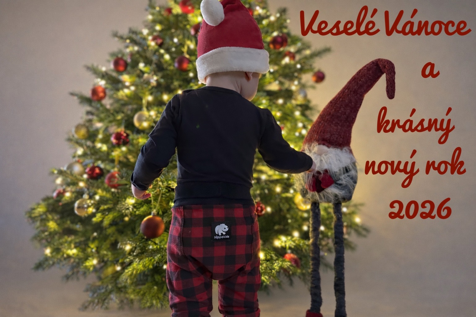 Krásné Vánoce a šťastný nový rok 2026