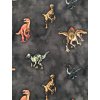 Dětské a kojenecké tričko s dlouhým rukávem Dinosaurus. Triko s dlouhým rukávem. Klučičí šedé tričko. Motiv dino. Oblečení pro miminka. Oblečení pro děti. Dětské a kojenecké oblečení. Kvalitní české oblečení. Det