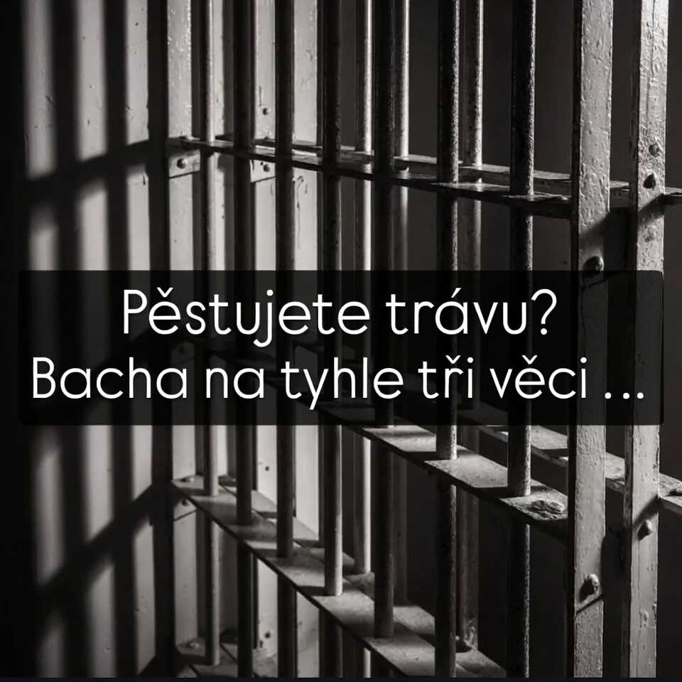 Pěstujete trávu? Bacha na tyhle tři věci …
