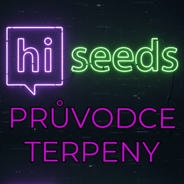 Terpenový průvodce odrůdami, který změní váš pohled na konopí
