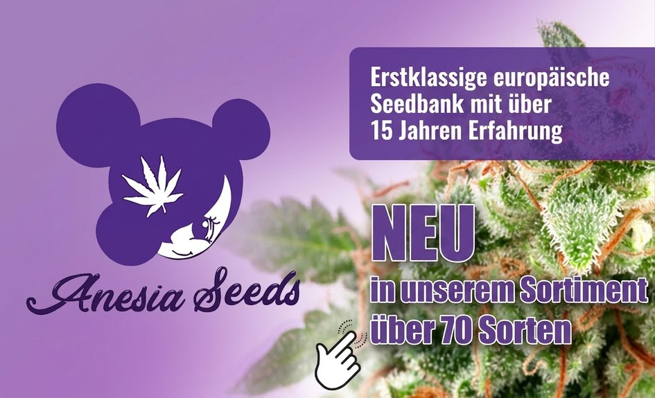 Anesia Seeds DE