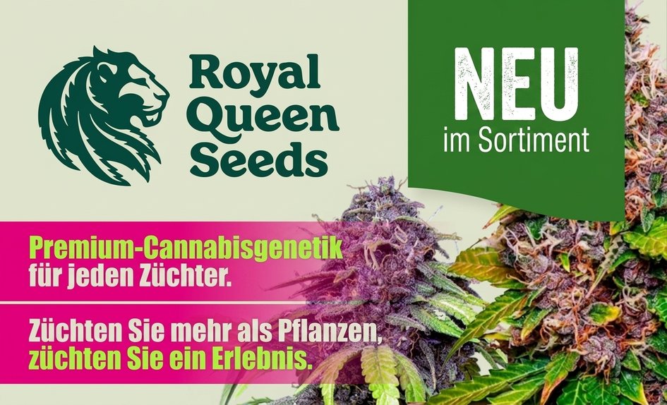 RQS DE