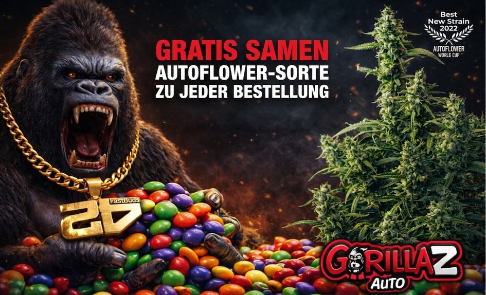 Gorilla Z ke každé objednávce DE