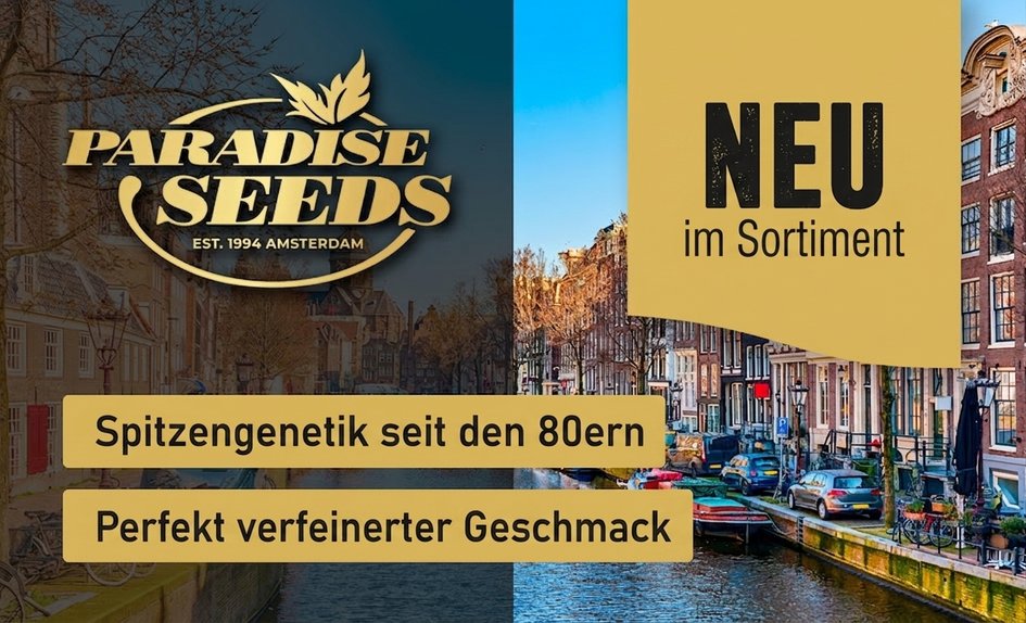 Paradise Seeds DE