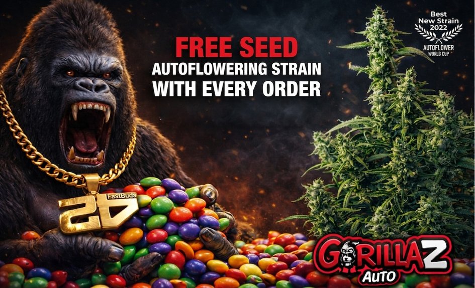 Gorilla Z ke každé objednávce EN
