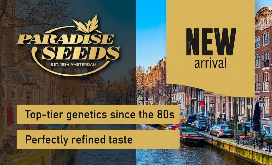 Paradise Seeds EN