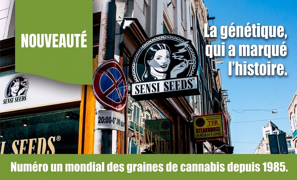 Sensi Seeds FR
