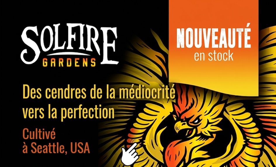 Solfire Gardens FR