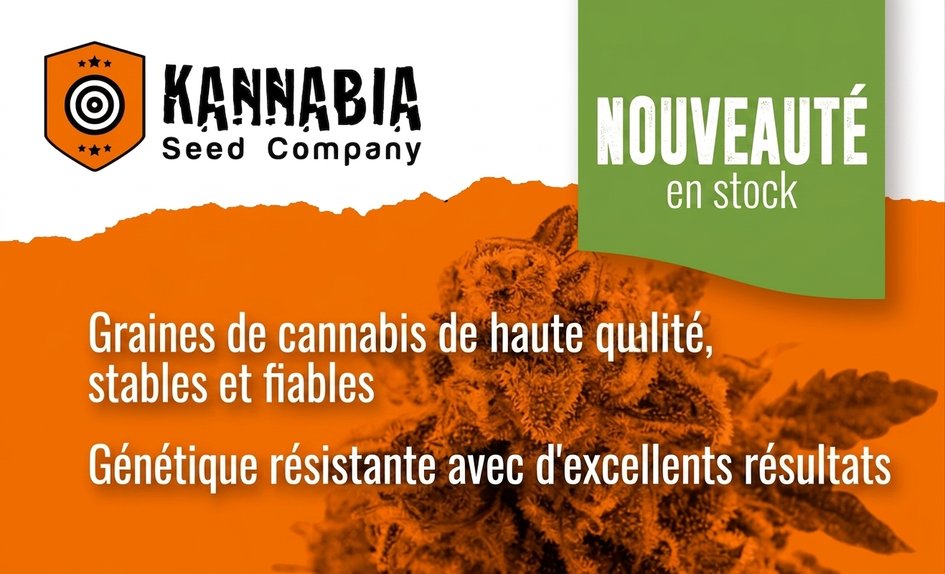 Kannabia Seed Company FR