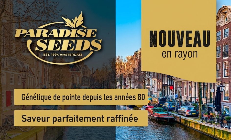Paradise Seeds FR