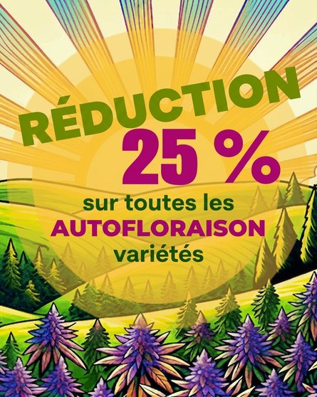 Sleva na samonakvétací odrůdy 25 % FR