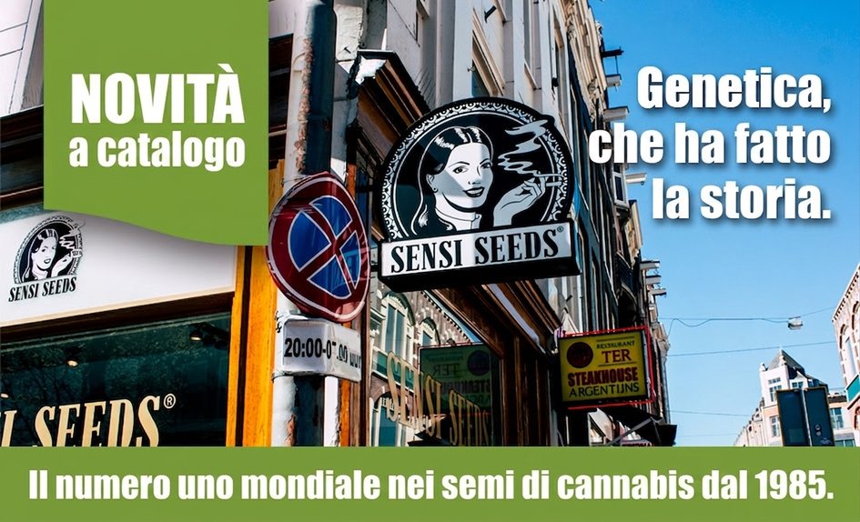Sensi Seeds IT
