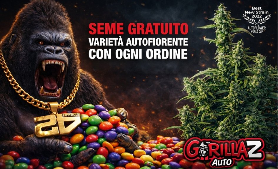 Gorilla Z ke každé objednávce IT