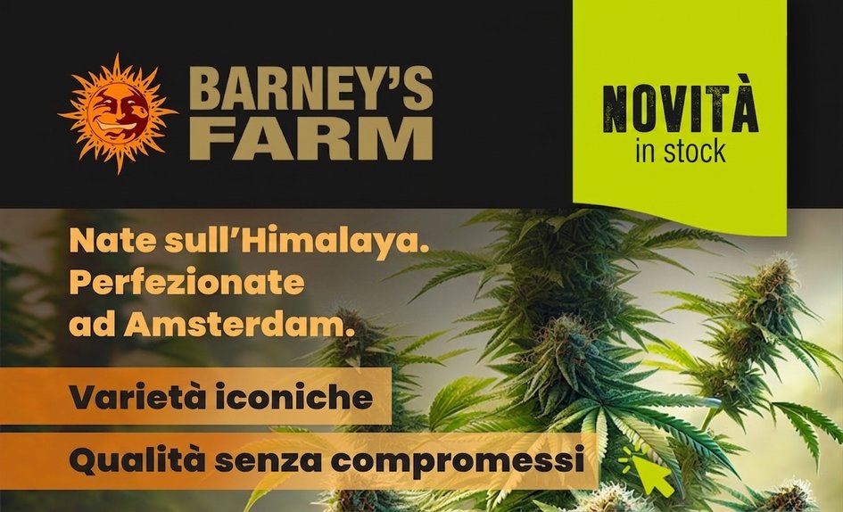 Barney's Farm IT