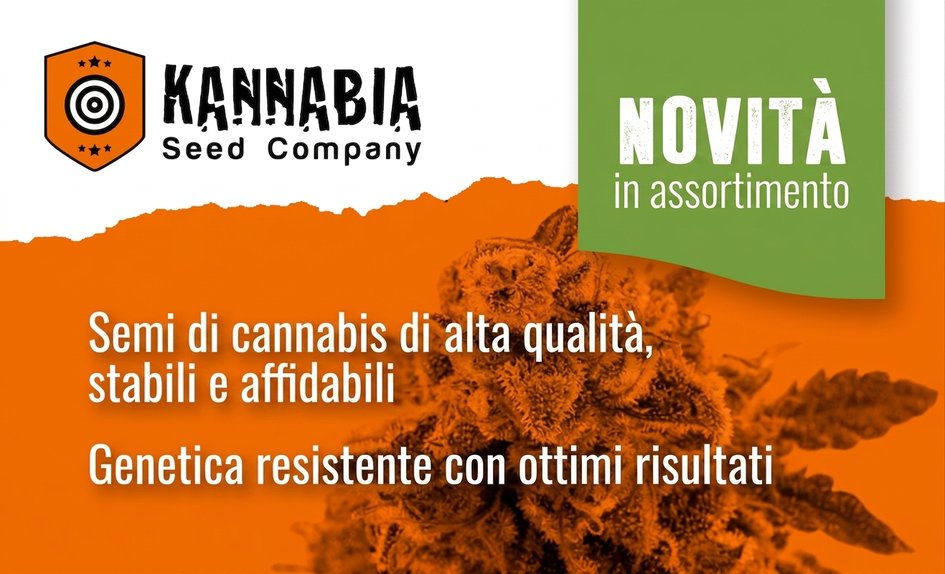 Kannabia Seed Company IT