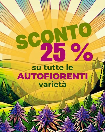 Sleva na samonakvétací odrůdy 25 % IT