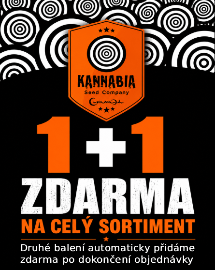 Kannabia 1+1