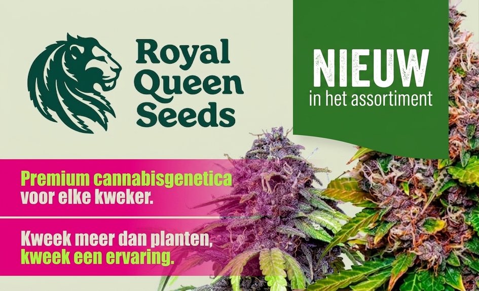 RQS NL