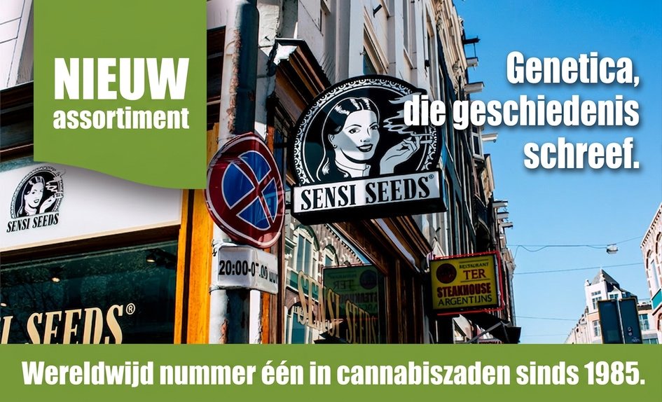 Sensi Seeds NL