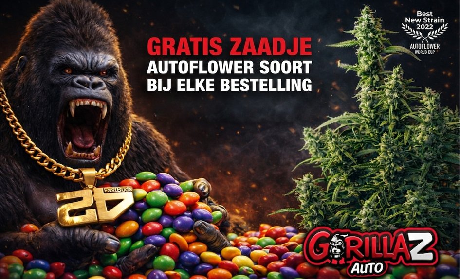 Gorilla Z ke každé objednávce NL