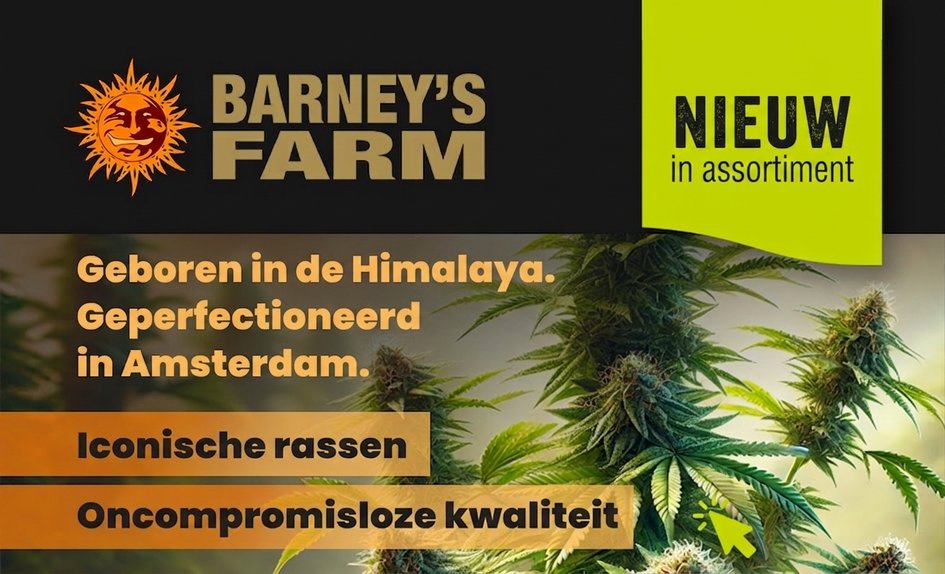 Barney's Farm NL