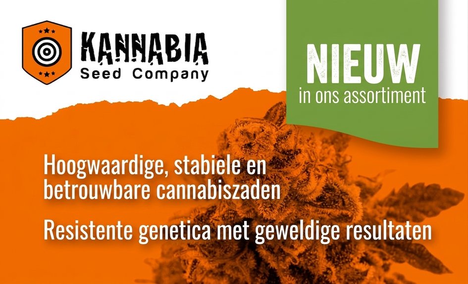Kannabia Seed Company NL