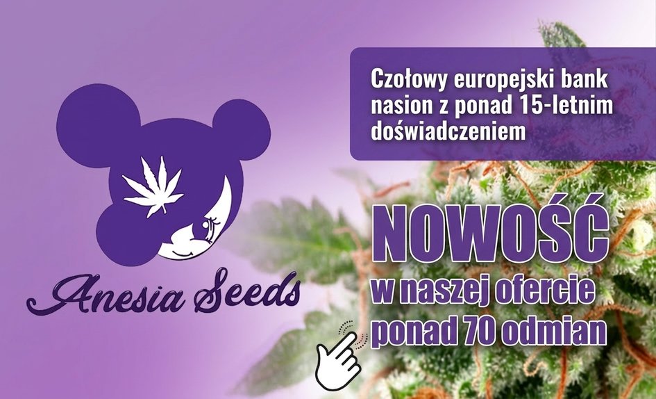 Anesia Seeds PL