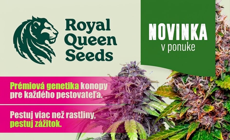 RQS SK