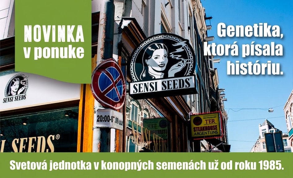 Sensi Seeds SK
