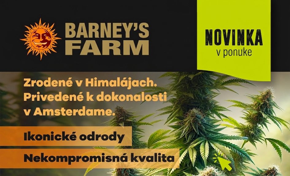 Barney's Farm SK