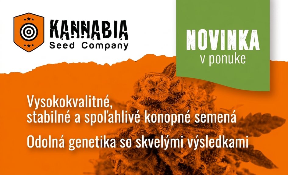 Kannabia Seed Company SK