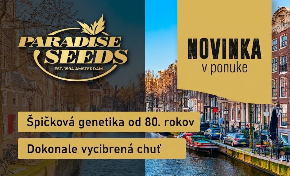 Paradise Seeds SK